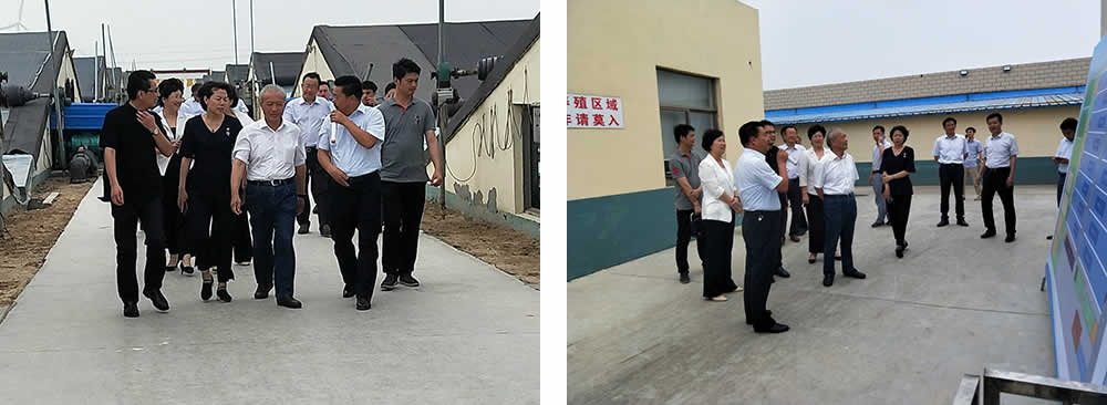 新聞=省委胥秘書長與省農(nóng)業(yè)農(nóng)村廳楊廳長一行及市、縣等領(lǐng)導(dǎo)，來我司視察02.jpg