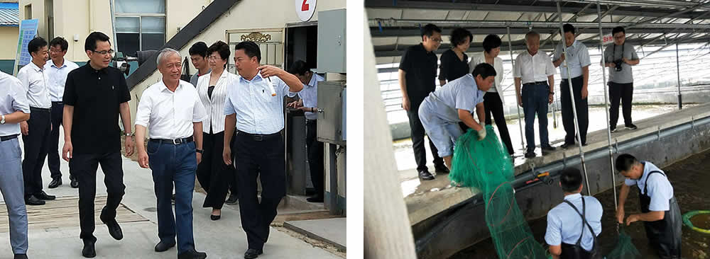 新聞=省委胥秘書長與省農(nóng)業(yè)農(nóng)村廳楊廳長一行及市、縣等領(lǐng)導(dǎo)，來我司視察03.jpg