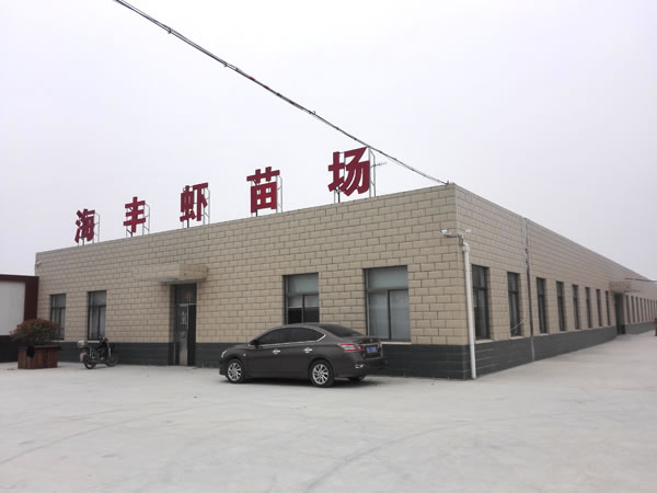 蝦苗養(yǎng)殖場